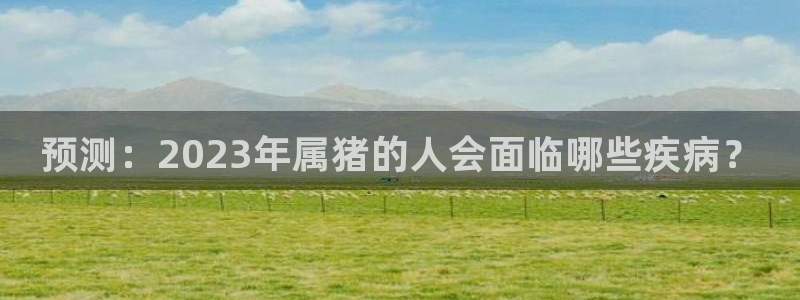 pg电子麻将胡了