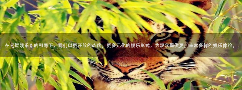 pg赏金女王怎么下载