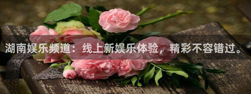 pg模拟器.com
