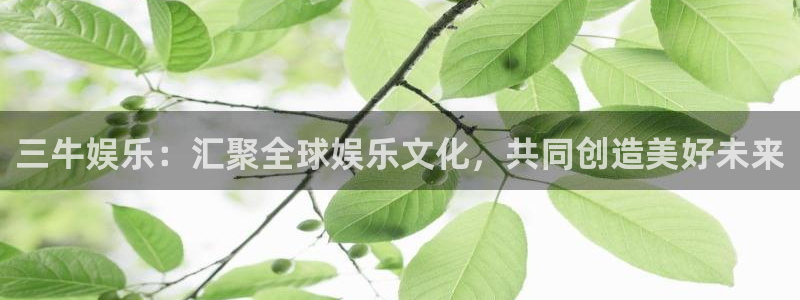 pg电子扶持