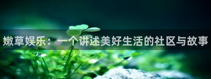 pg正版下载