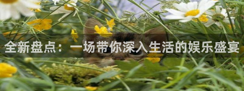 电子模拟器pg链接：全新盘点：一场带你深入生活的娱乐盛宴