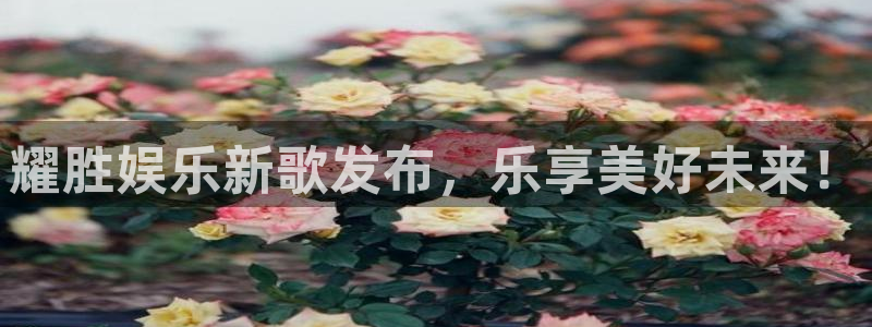 993356,com pg游戏
