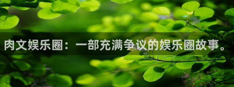 pg电子麻将胡了规则图解