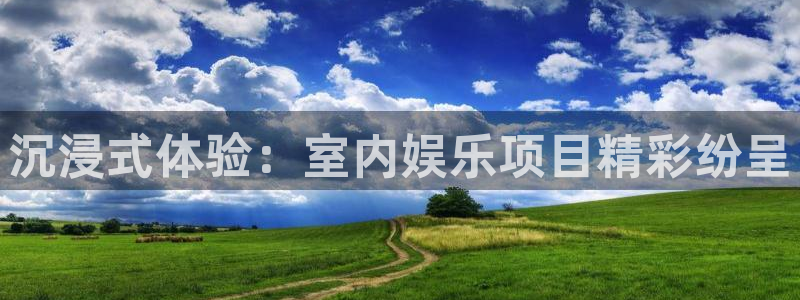 pg电玩模拟器下载：沉浸式体验：室内娱乐项目精彩纷呈