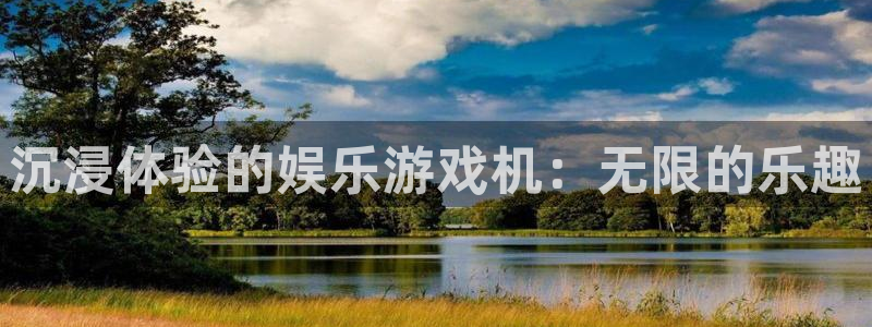 pg电子游戏模拟器连接