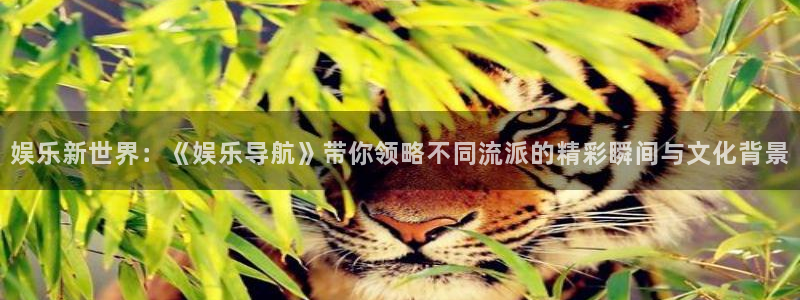 pg电子中文模拟器