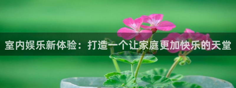 pg电子官网版：室内娱乐新体验：打造一个让家庭更加快乐的天堂