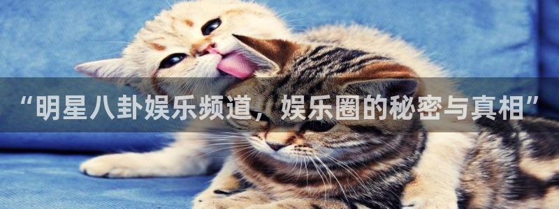 pg麻将胡了模拟器：“明星八卦娱乐频道，娱乐圈的秘密与真相”