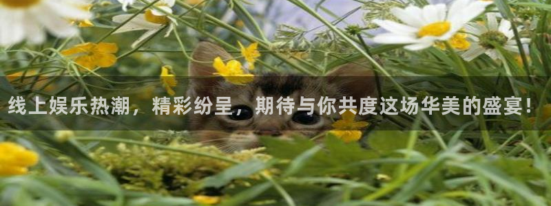 pg电子娱乐平台下载：线上娱乐热潮，精彩纷呈，期待与你共度这场华美的盛宴！